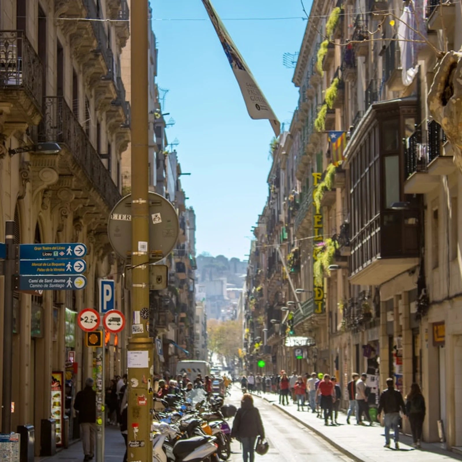 Renta elevador por hora