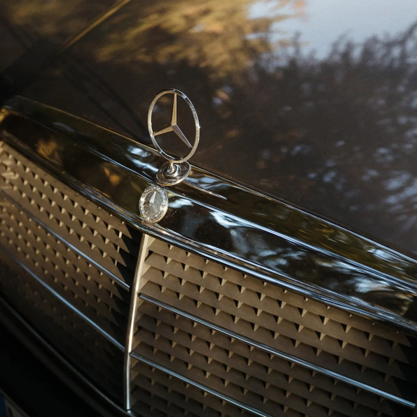 Lavado premium interior y exterior